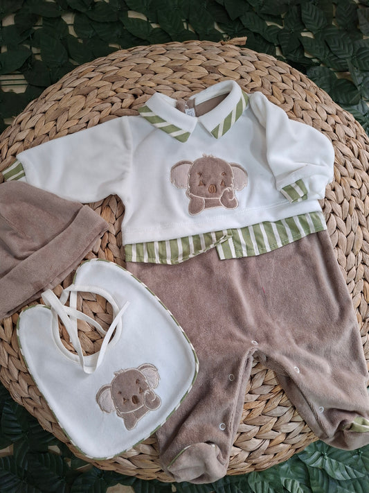 Set Koala Ciniglia